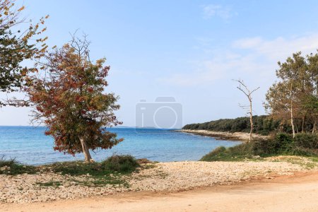 Photo for Rocky beach with blue sea at Cisterna Beach near Rovinj - Royalty Free Image
