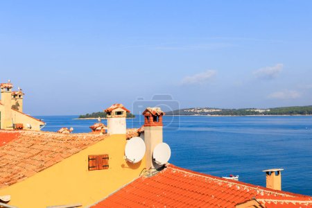 Téléchargez les photos : Mouettes assises sur les toits de la vieille ville de Rovinj en Croatie surplombant la mer - en image libre de droit