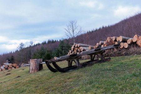 Foto de Trineo de madera tradicional para transportar árboles talados al valle en invierno en un prado sin nieve cerca de Gaishaus cerca de Ravensburg en Baden Wrtemberg en un día nublado en invierno. - Imagen libre de derechos