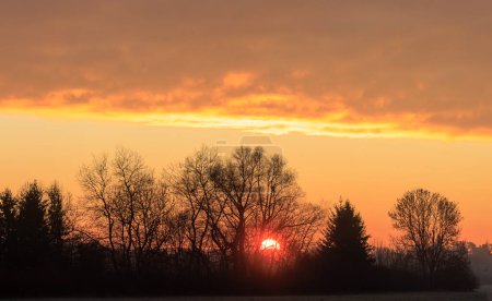 Téléchargez les photos : Lever de soleil coloré avec soleil doré sur les buissons et les arbres sur un paysage de prairie à Siebenbrunn près d'Augsbourg - en image libre de droit