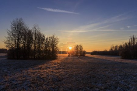 Téléchargez les photos : Lever de soleil coloré avec soleil doré sur les buissons et les arbres sur un paysage de prairie à Siebenbrunn près d'Augsbourg - en image libre de droit
