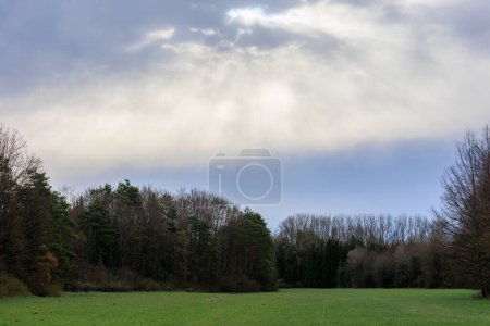 Téléchargez les photos : Nuages sombres sur une clairière par un matin de printemps dans la forêt à Siebenbrunn près d'Augsbourg - en image libre de droit