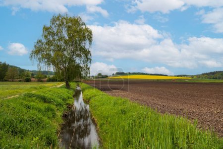 Téléchargez les photos : Paysage accidenté avec prairies verdoyantes et champs de viols jaunes dans la vallée de Schmutter près d'Augsbourg - en image libre de droit