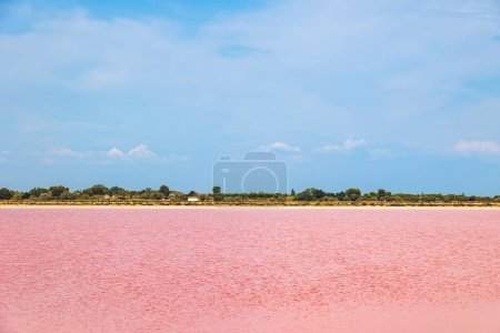 Foto de Vista sobre las salinas rosadas de la producción de sal cerca de la ciudad de Aigues-Mortes en la región de Camarque de Francia - Imagen libre de derechos