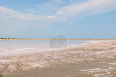 Téléchargez les photos : Vue sur les salines roses de la production de sel près de la ville d'Aigues-Mortes dans la région Camarque en France - en image libre de droit