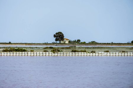 Téléchargez les photos : Production de sel près de la ville d'Aigues-Mortes dans la région Camarque, Aigues-Mortes, 30 mai 2023 - en image libre de droit