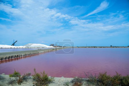 Photo for Salt production near the town of Aigues-Mortes in the Camarque region of France, Aigues-Mortes, May 30, 2023 - Royalty Free Image