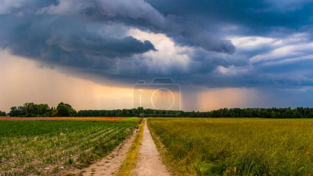 Téléchargez les photos : Un chemin de terre mène au-delà des prairies fleuries colorées avec des coquelicots et des bleuets à une forêt à l'horizon tandis que des nuages d'orage sombre se rassemblent dans le ciel - en image libre de droit