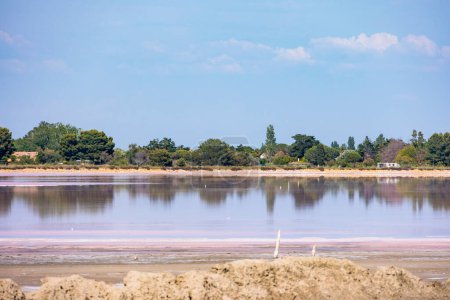 Photo for View over the pink salt pans of salt production near the town of Aigues-Mortes in the Camarque region of France - Royalty Free Image