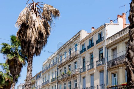 Téléchargez les photos : Un immeuble résidentiel historique avec palmiers au centre-ville de Montpellier, France - en image libre de droit