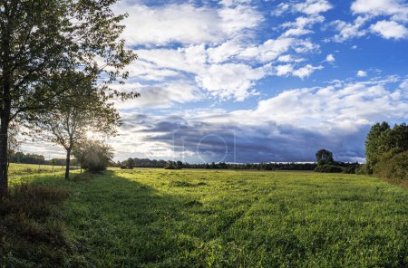 Téléchargez les photos : Les rayons du soleil brillent à travers les arbres sur un chemin de terre entre les vergers de Siebenbrunn près d'Augsbourg. - en image libre de droit