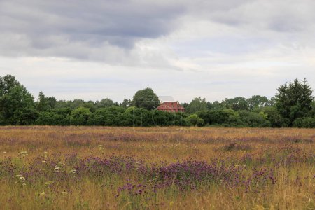 Foto de Vista sobre los prados del huerto hasta el borde del bosque en Siebenbrunn cerca de Augsburgo en un día nublado - Imagen libre de derechos