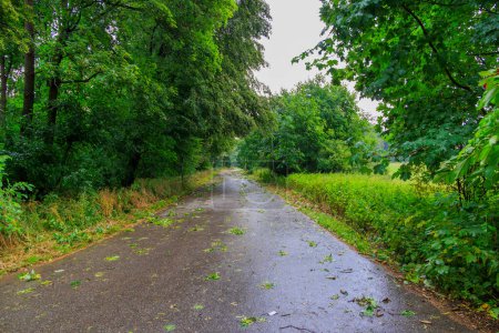 Téléchargez les photos : Route latérale couverte de branches déchirées après un orage à Siebenbrunn près d'Augsbourg, Allemagne - en image libre de droit