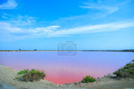 Foto de Vista sobre las salinas rosadas de la producción de sal cerca de la ciudad de Aigues-Mortes en la región de Camarque de Francia - Imagen libre de derechos