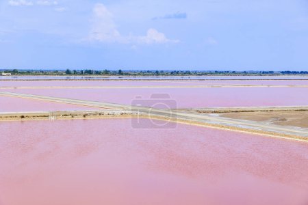 Téléchargez les photos : Vue sur les salines roses de la production de sel près de la ville d'Aigues-Mortes dans la région Camarque en France - en image libre de droit