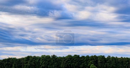 Téléchargez les photos : Vue sur les prairies du verger jusqu'à la lisière de la forêt à Siebenbrunn près d'Augsbourg par une journée nuageuse - en image libre de droit