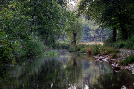 Foto de Reflejando la superficie del agua de Brunnenbach en Siebenbrunn cerca de Augsburgo - Imagen libre de derechos