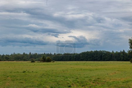 Téléchargez les photos : Une prairie à la lisière de la forêt avec un ciel nuageux dramatique dans l'humeur de l'orage - en image libre de droit