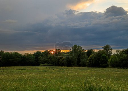 Foto de Un prado en el borde del bosque con un cielo nublado dramático en estado de tormenta - Imagen libre de derechos