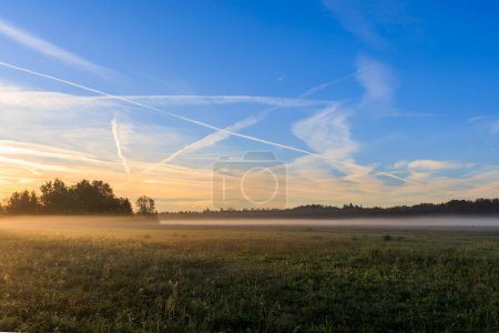 Téléchargez les photos : Lever de soleil coloré sur les prairies brumeuses dans la forêt d'Augsbourg près de Siebenbrunn - en image libre de droit