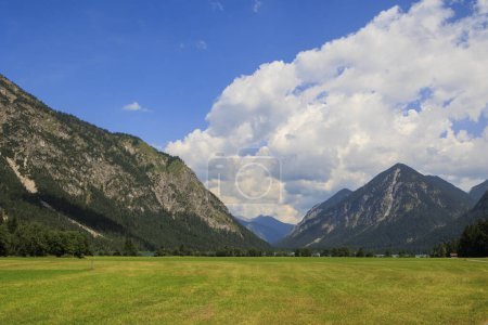 Photo for Field path between green mowed meadows towards Heiterwanger lake with mountains in the background on a sunny day with blue sky in Heiterwang, Austria - Royalty Free Image