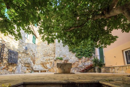 Téléchargez les photos : Cour romantique avec un sol en pierre et une ancienne fontaine sous un grand figuier dans la ville croate de Rovinj - en image libre de droit
