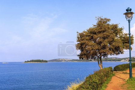 Foto de Un árbol y una linterna de hierro fundido verde están en el paseo marítimo de la ciudad croata de Rovinj en un día soleado con cielo azul - Imagen libre de derechos