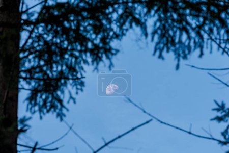 Foto de Luna menguante en la luz del día y el cielo azul - Imagen libre de derechos