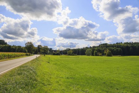 Foto de Camino rural entre avenidas árboles prados y campos cerca del castillo de Blumenthal en Baviera en un soleado día de verano con cielo azul y nubes blancas - Imagen libre de derechos