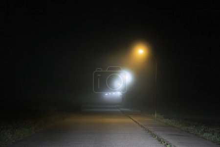 Téléchargez les photos : Une route mène à l'horizon la nuit sous les lampadaires dans le brouillard - en image libre de droit