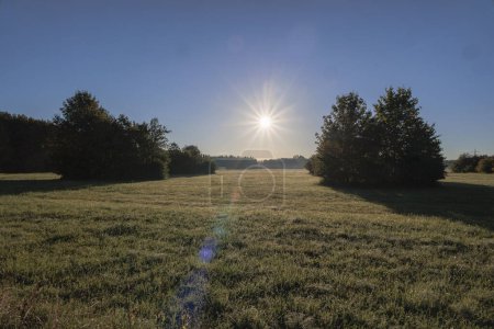 Téléchargez les photos : Le soleil se lève brillamment sur une prairie le matin - en image libre de droit
