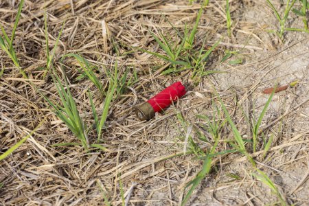 Foto de La cáscara vacía de un cartucho de escopeta se encuentra en la isla de Corfú en un suelo reseco con unas pocas hojas de hierba - Imagen libre de derechos