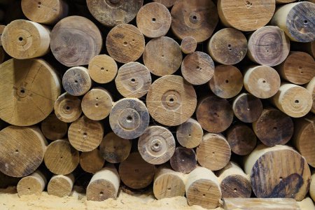 Foto de Estantes de almacenamiento con madera de olivo en blanco preparados para secar en el taller de un tallador de madera de olivo - Imagen libre de derechos