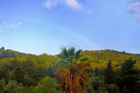 Téléchargez les photos : Arc-en-ciel sur les montagnes boisées et les plantations d'oliviers dans le nord de l'île de Corfou - en image libre de droit