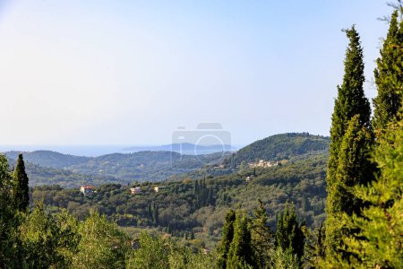 Photo for Wooded mountains and olive plantations in the north of the island of Corfu - Royalty Free Image