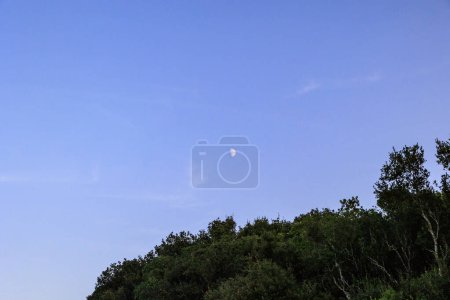 Téléchargez les photos : Demi-lune dans le ciel sur les oliveraies de l'île de Corfou - en image libre de droit