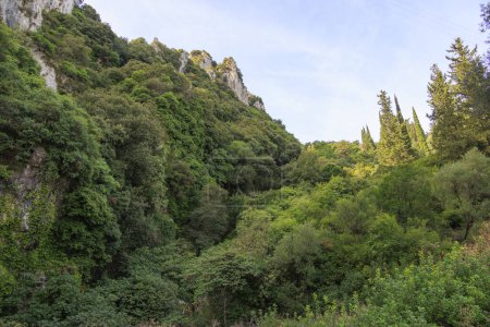 Foto de Montañas en el norte de la isla de Corfú entre montañas boscosas - Imagen libre de derechos