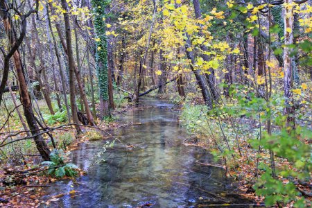 Téléchargez les photos : Ruisseau entre les arbres aux feuilles d'automne colorées à Siebenbrunn près d'Augsbourg - en image libre de droit