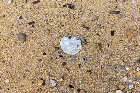 Foto de Piedras pulidas en la playa de Agios Georgios en la isla de Corfú - Imagen libre de derechos