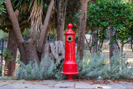 Photo for Red fire hydrant in front of palm trees at the edge of a path in the Achilleion on the island of Corfu - Royalty Free Image