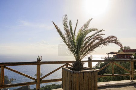 Foto de Palma a través de la El sol brilla en la isla de Corfú bajo un cielo azul - Imagen libre de derechos