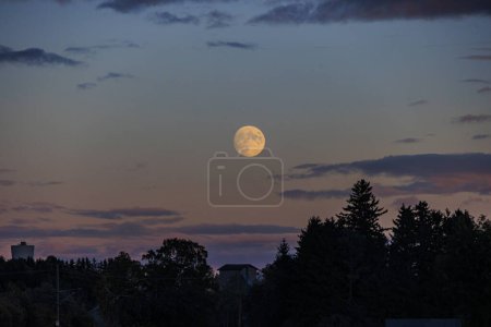 Téléchargez les photos : Pleine lune dans le ciel du soir sur le paysage en Haute-Souabe - en image libre de droit