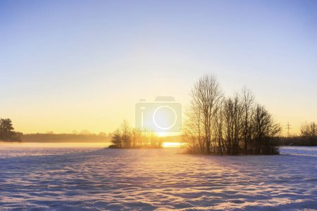 Foto de Prados cubiertos de nieve en Siebenbrunn cerca de Augsburgo al amanecer con árboles y arbustos contra un cielo de colores - Imagen libre de derechos
