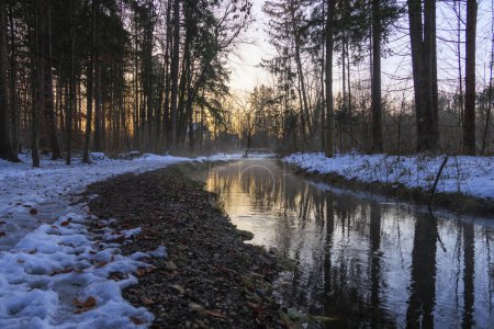 Téléchargez les photos : Sentier forestier enneigé au bord du ruisseau Brunnenbach à Siebenbrunn près d'Augsbourg au lever du soleil en hiver - en image libre de droit