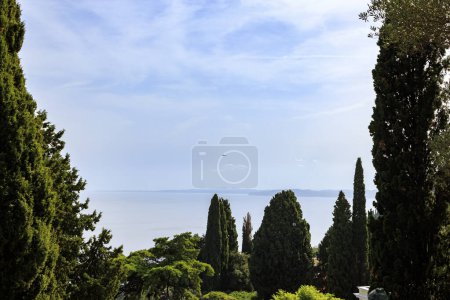 Photo for View between cypress trees of a passenger plane approaching the small airport on the island of Corfu in Greece - Royalty Free Image