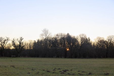 Téléchargez les photos : Les rayons du soleil levant du matin brillent à travers les arbres dans les champs et les prairies de Siebenbrunn, le plus petit quartier de la ville Fugger d'Augsbourg - en image libre de droit