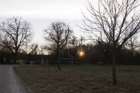 Foto de Los rayos del sol naciente de la mañana brillan a través de los árboles en los campos y prados de Siebenbrunn, el distrito más pequeño de la ciudad de Fugger de Augsburgo - Imagen libre de derechos