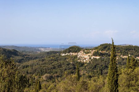 Téléchargez les photos : Montagnes boisées et oliveraies dans le nord de l'île de Corfou - en image libre de droit