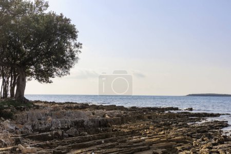 Foto de Playa rocosa con mar azul en la playa de Cisterna cerca de Rovinj - Imagen libre de derechos