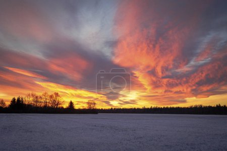 Téléchargez les photos : Lever de soleil coloré avec des nuages rouges lumineux lors d'une journée d'hiver sur les prairies et les forêts de Siebenbrunn, le plus petit quartier de la ville Fugger d'Augsbourg - en image libre de droit